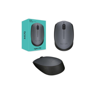 SOURIS logitech m170