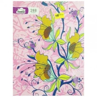 CAHIER COLLE 17*22 SEYES 288PAGES