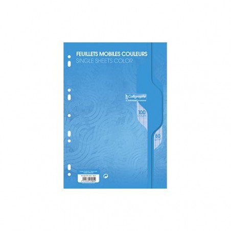 FEUILLE MOBILE A4 100 PAGES BLEU SEYES