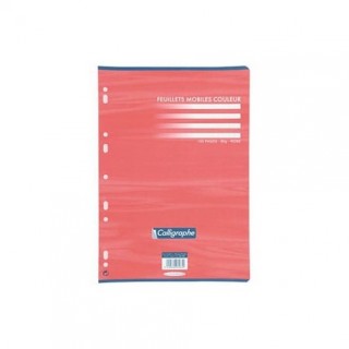 FEUILLE MOBILE A4 100 PAGES VERT ROSE