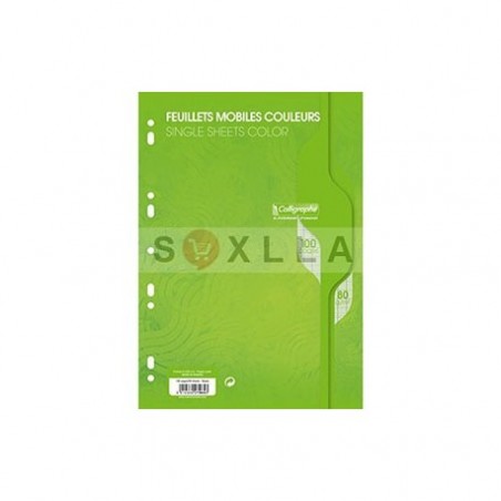 FEUILLE MOBILE A4 100 PAGES VERT SEYES
