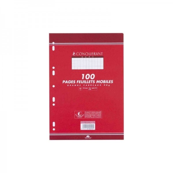 FEUILLE MOBILE A-P 17*22 ROSE 70GRS PAQUET 50 SEYES