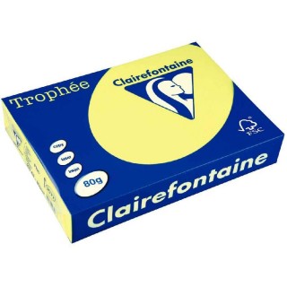 Ramette repro Clairefontaine ca 80g 29,7x42 claire