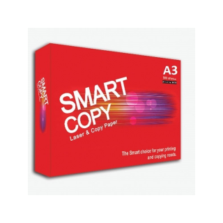 copy of ram a3 smart copy...